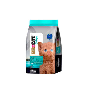 BR FOR CAT GATITOS SALMON
