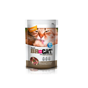 SNACK BR CONTROL BOLA DE PELOS 60 GR