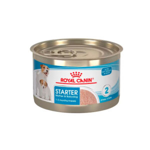 ROYAL CANIN LATA STARTER M&B DOG