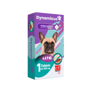 DYNAMICUS 4 A 9 KG