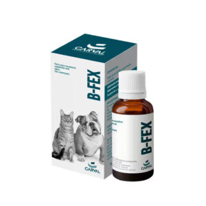 B-FEX X 60 ML